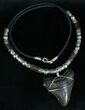 Megalodon Tooth Necklace - Serrated #6364-1
